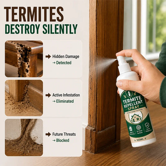 WoodFortis™ — Fortify Your Home with Invisible, Lasting Termite Defense