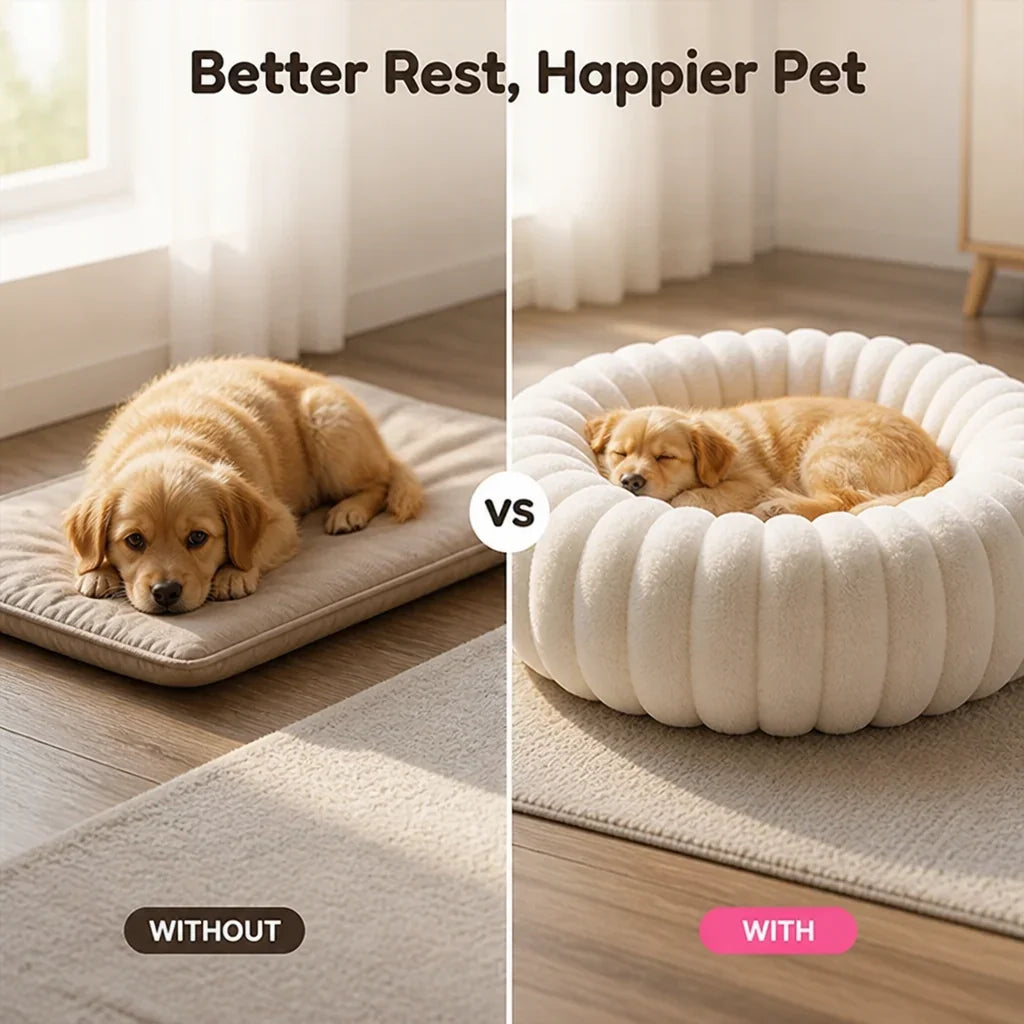 Pawvelle™ — The Ultimate Hug of Warmth and Support Your Pet Will Never Want to Leave