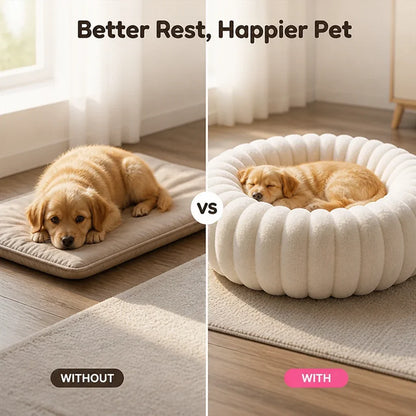 Pawvelle™ — The Ultimate Hug of Warmth and Support Your Pet Will Never Want to Leave