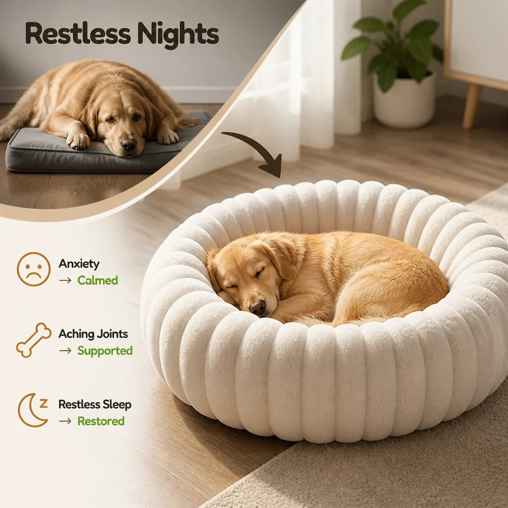 Pawvelle™ — The Ultimate Hug of Warmth and Support Your Pet Will Never Want to Leave