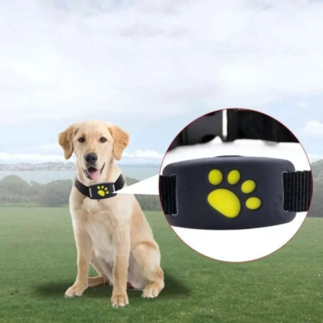 PetTrack360™ | Dog GPS Tracker, IP67 Waterproof