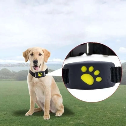 PetTrack360™ | Dog GPS Tracker, IP67 Waterproof
