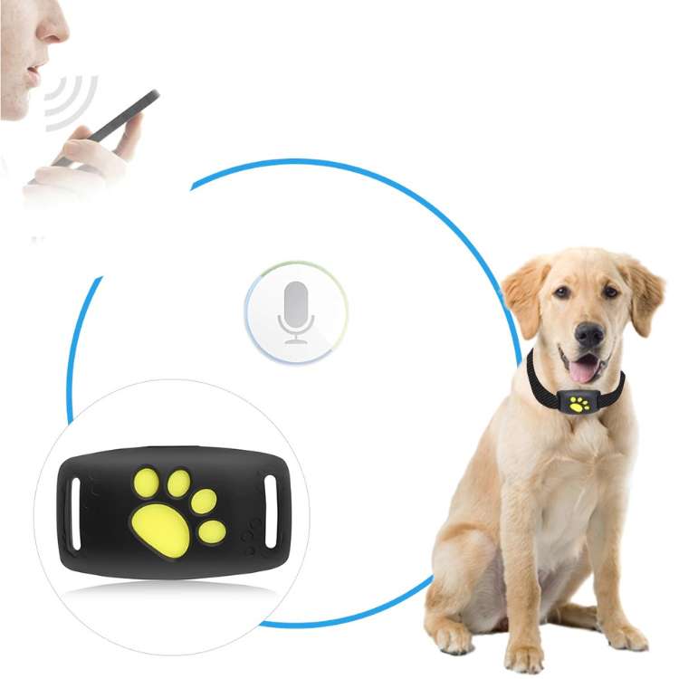 PetTrack360™ | Dog GPS Tracker, IP67 Waterproof