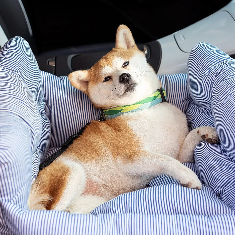 Dog Booster Seat Padded Adjustable Straps & Tether