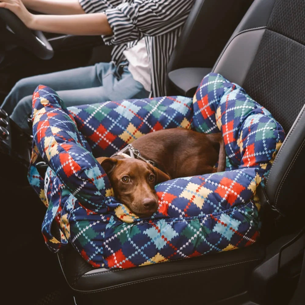 Dog Booster Seat Padded Adjustable Straps & Tether