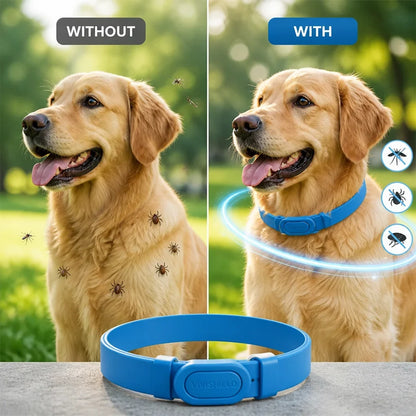 PestCloak™ Natural Pest Defense Collar — Freedom from Pests, Comfort for Every Adventure