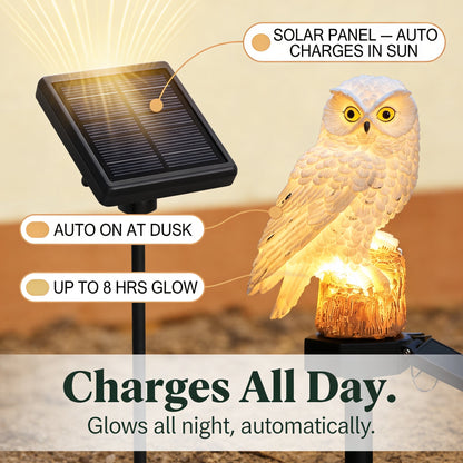 Last Day 50% OFF | OwlLume™ Solar Owl Garden Light