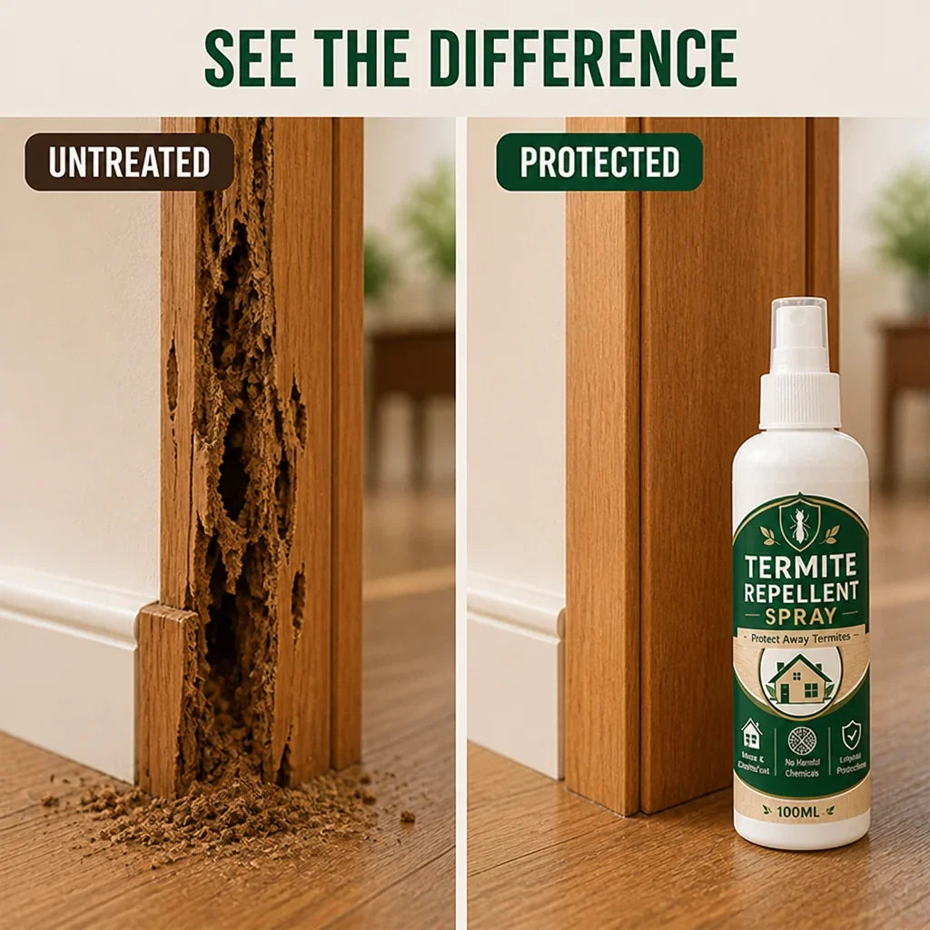 WoodFortis™ — Fortify Your Home with Invisible, Lasting Termite Defense