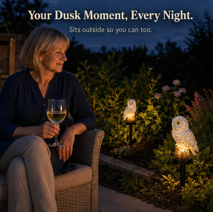 Last Day 50% OFF | OwlLume™ Solar Owl Garden Light